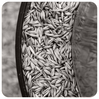 Vehículos con rastreo GPS