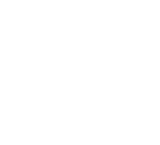 Vehículos con rastreo GPS