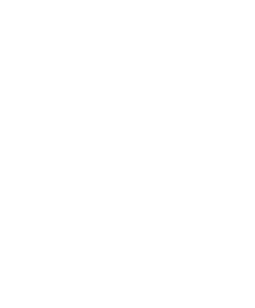 Sistema de video vigilancia móvil en operación