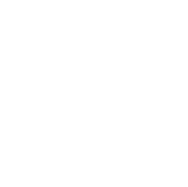 Sistema de video vigilancia móvil en operación